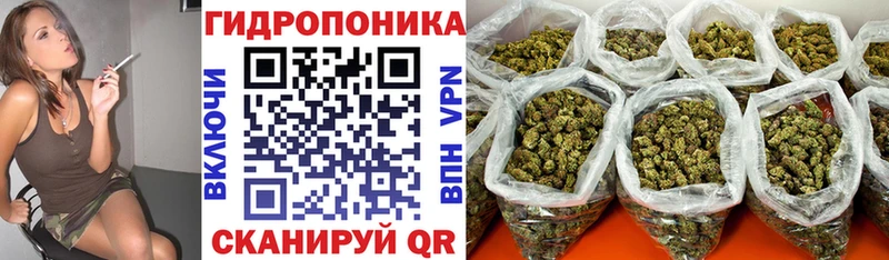 Бошки марихуана сатива  Купить  Нефтекамск 